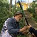 Grandfather and grandson preparing fishing rods outdoors, enjoying quality family time in nature.